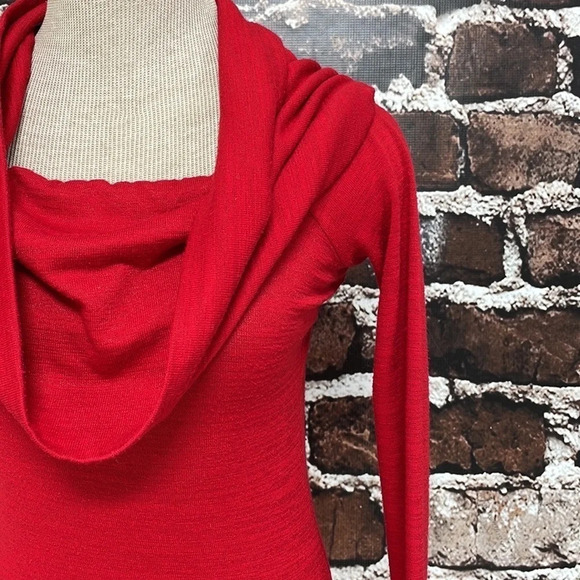 Wilfred Free Aritzia Dress Cowl Neck Red Stretchy Knit Size XS - Picture 7 of 12